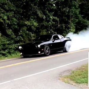 Meet your Posher, Jerry